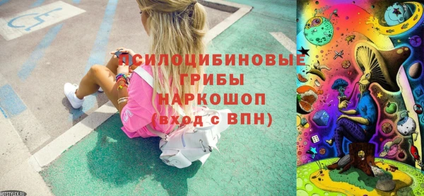 прущие грибы Кукмор
