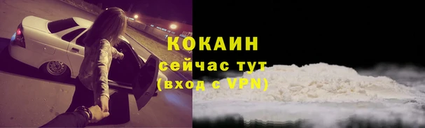 трава Куйбышев