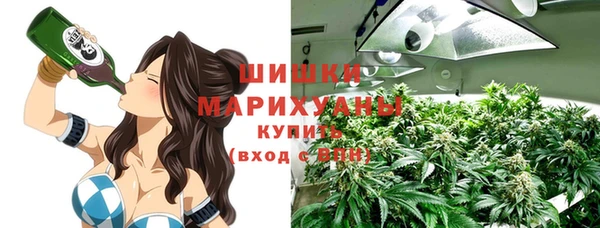 прущие грибы Кукмор