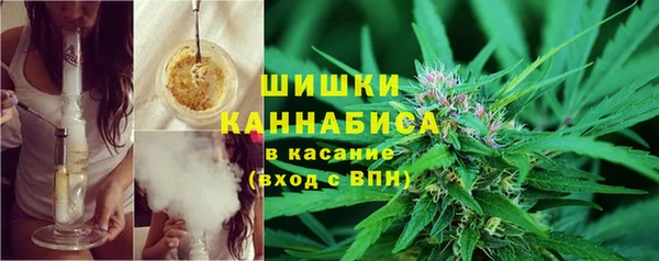 трава Куйбышев